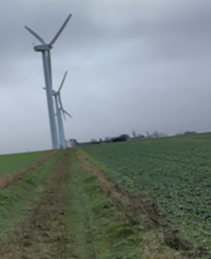 Bæredygtighed - online og ude i det fri