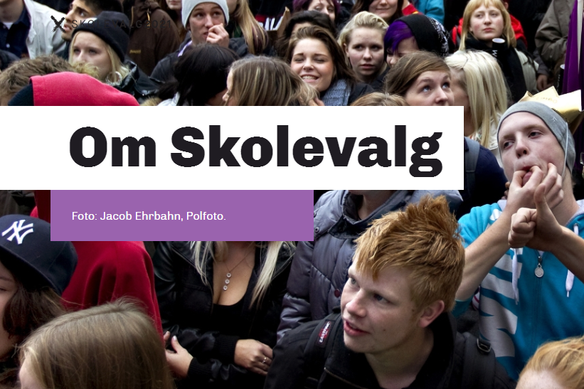 Skolevalg 2021