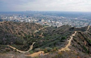  Hiking Trails In Runyon Canyon