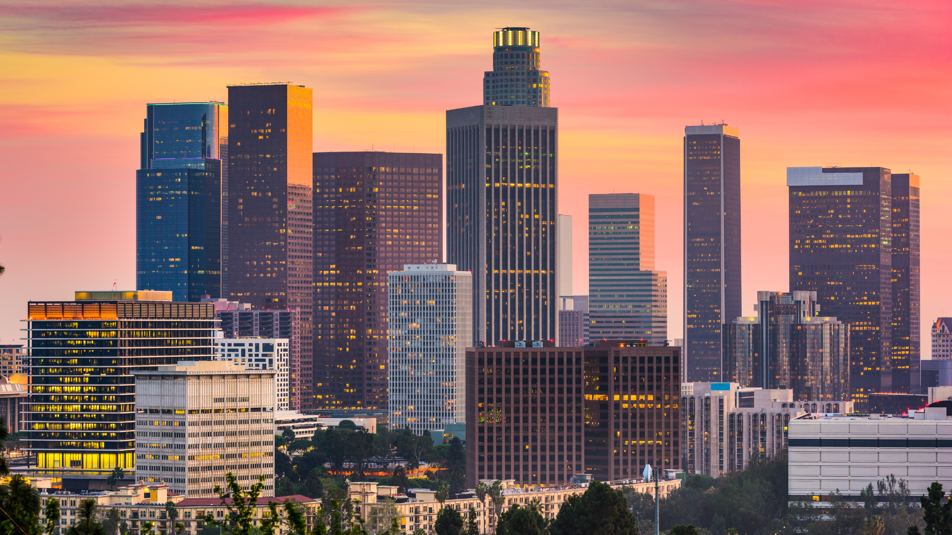 Los Angeles photo.png