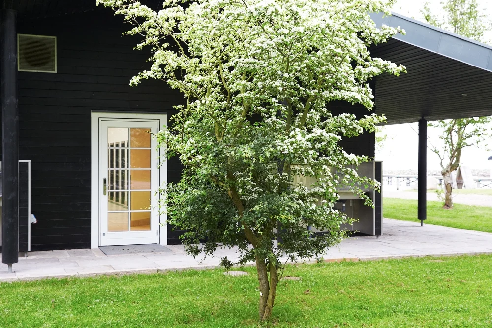 moderne faciliteter i vejrø marina