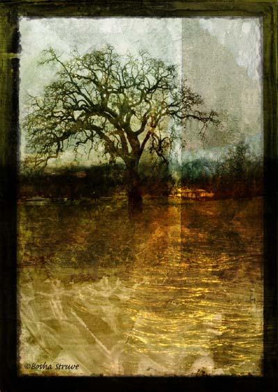  Bosha Struve -"Lone Oak In A Flooded Field" 