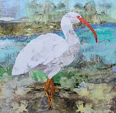  Cynthia Burkett - "Ibis Island FB" 