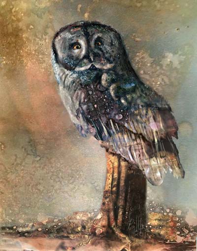 Ray Martin - "Great Gray Owl"