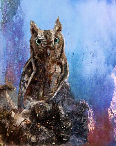 Ray Martin - Screech Owl08.jpg