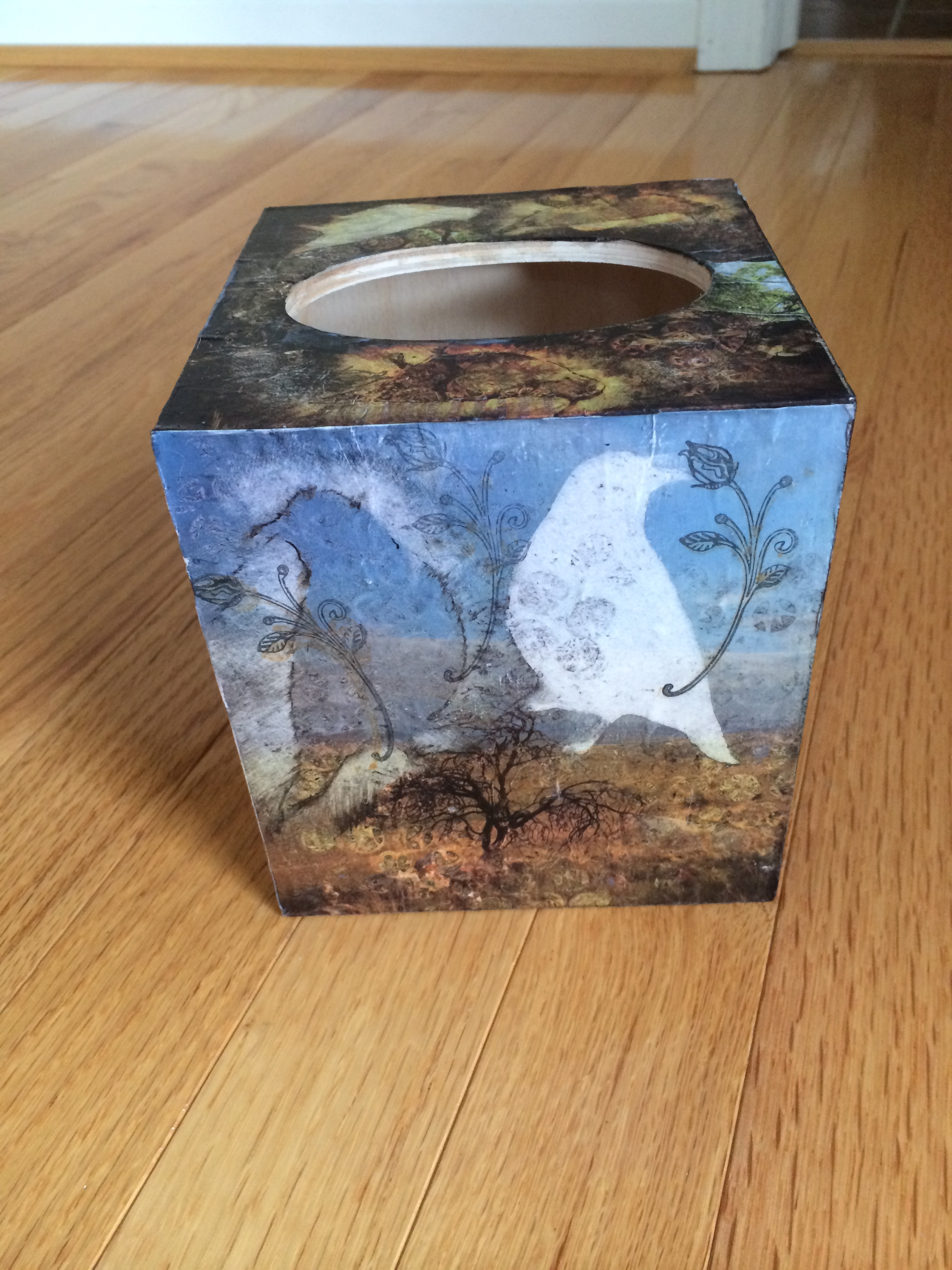  Ellen Horovitz- "Tissue Box" 