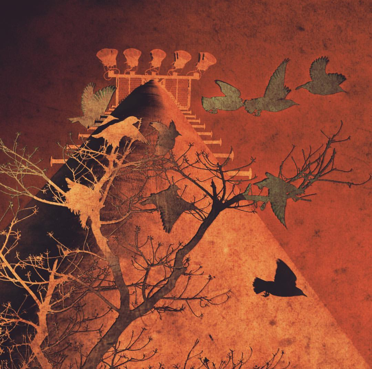 Runner Up: Bird Flock- Bosha Struve