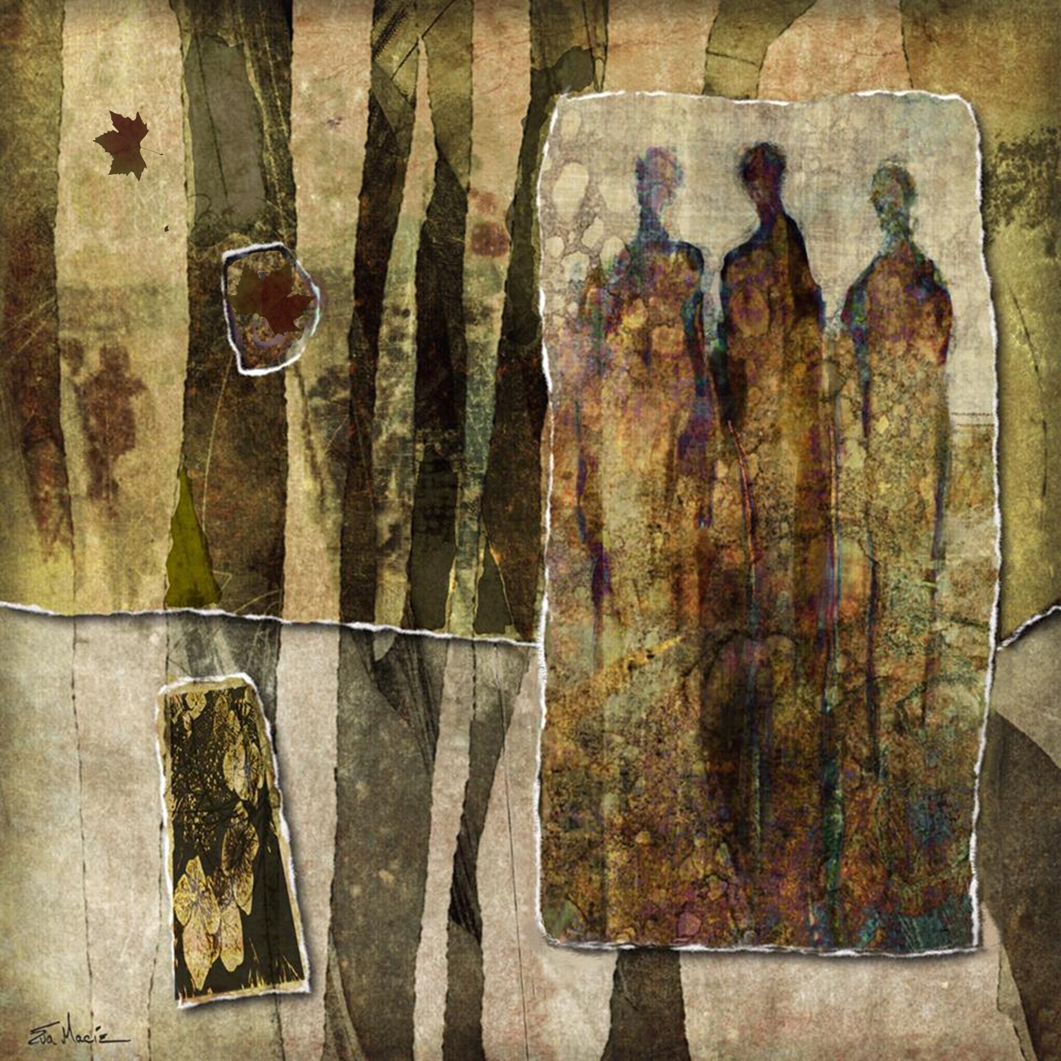 CS Rip Collage