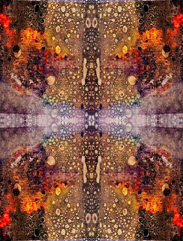 Chi of the Butterfly King