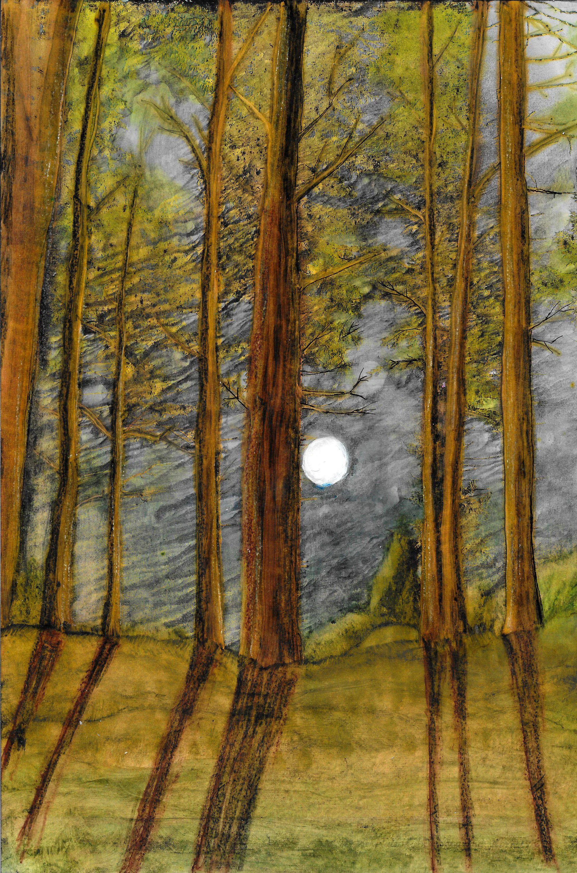 Citrasolv Full Moon in Forest