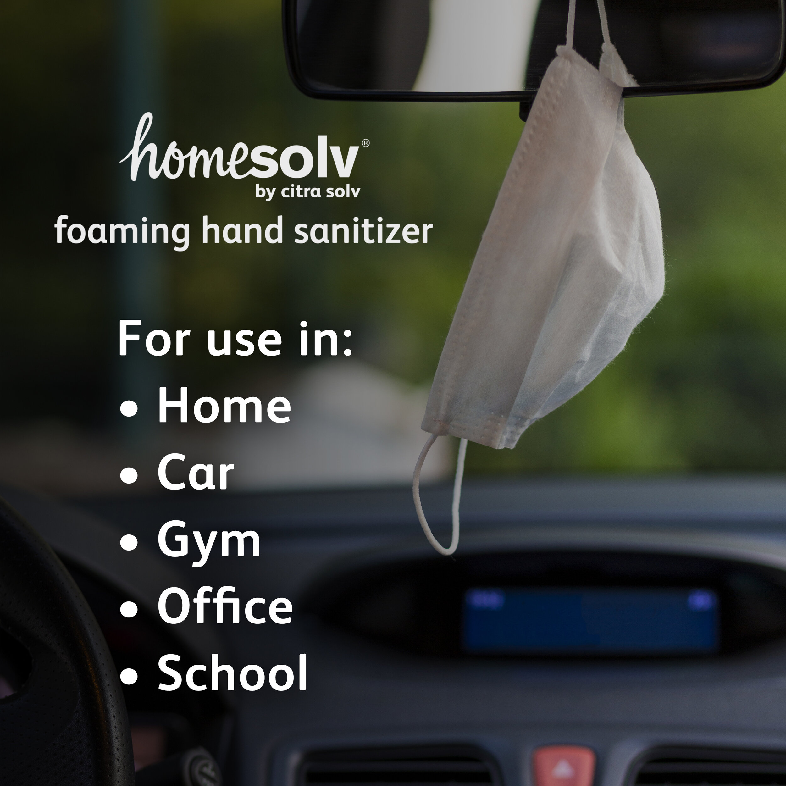 HS-Sanitizer-AmazonPic4.jpg