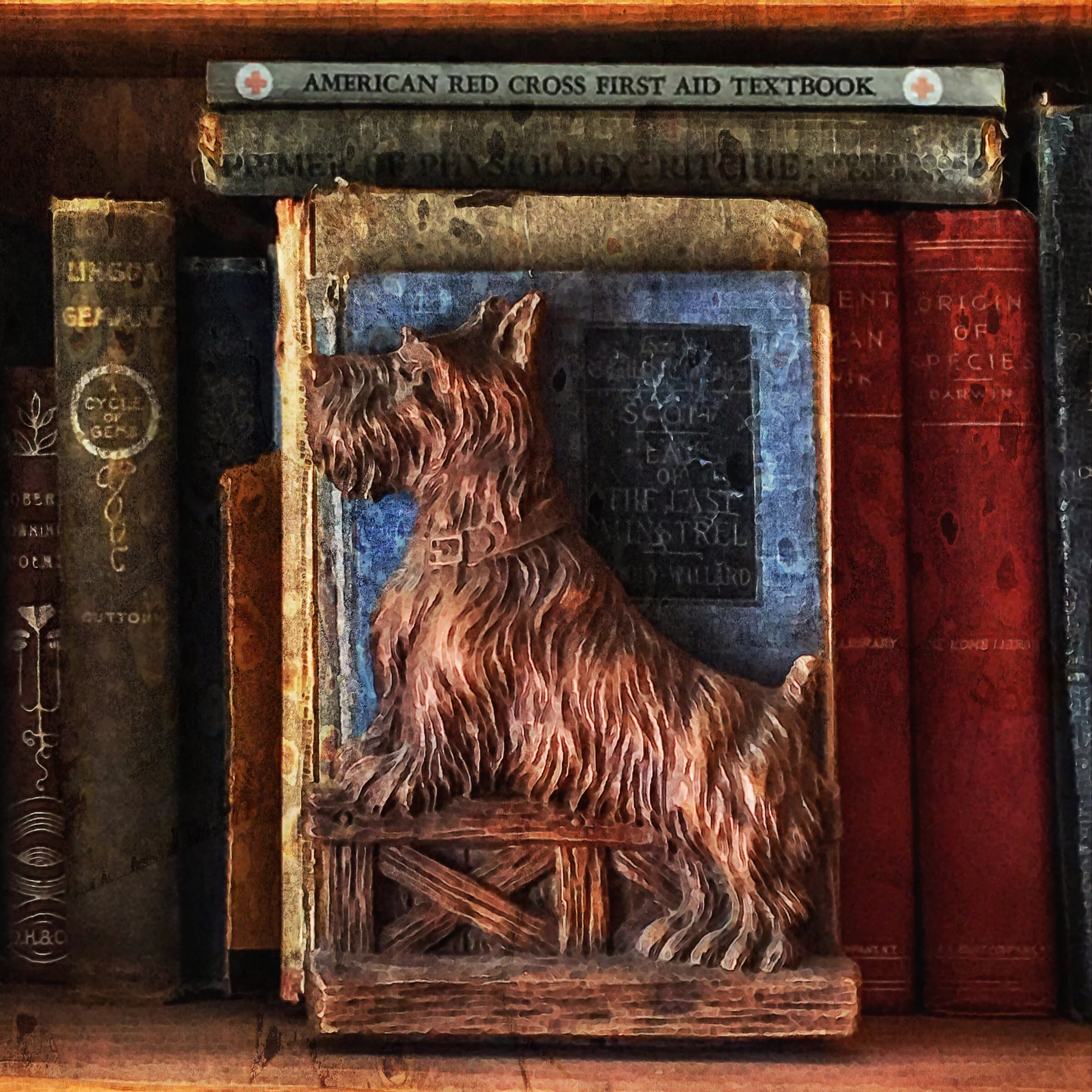 Bosha Struve - Bookshelf Scottie.jpg