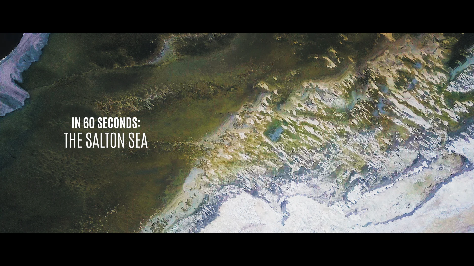 In 60 Seconds: The Salton Sea