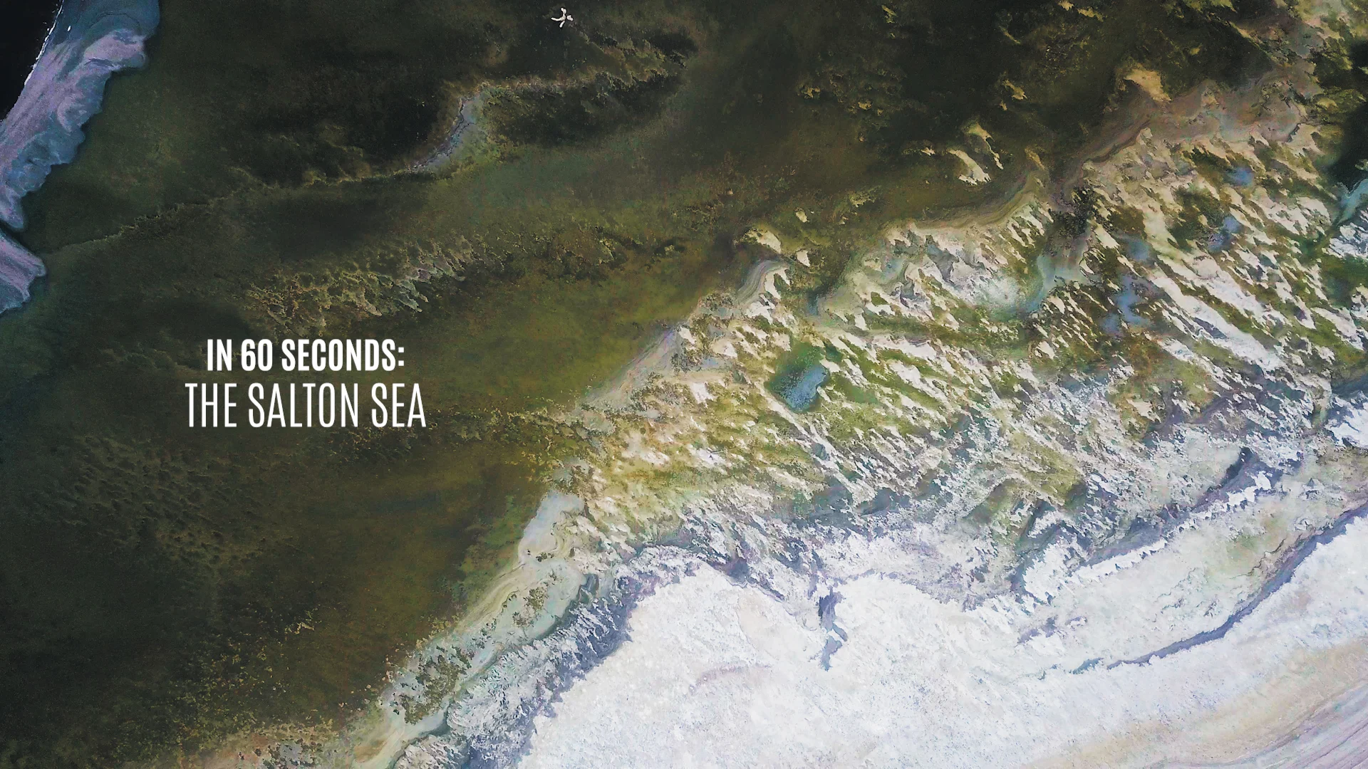 In 60 Seconds: The Salton Sea