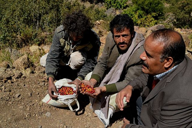 yemenmoccahaimieco3-640x426.jpg