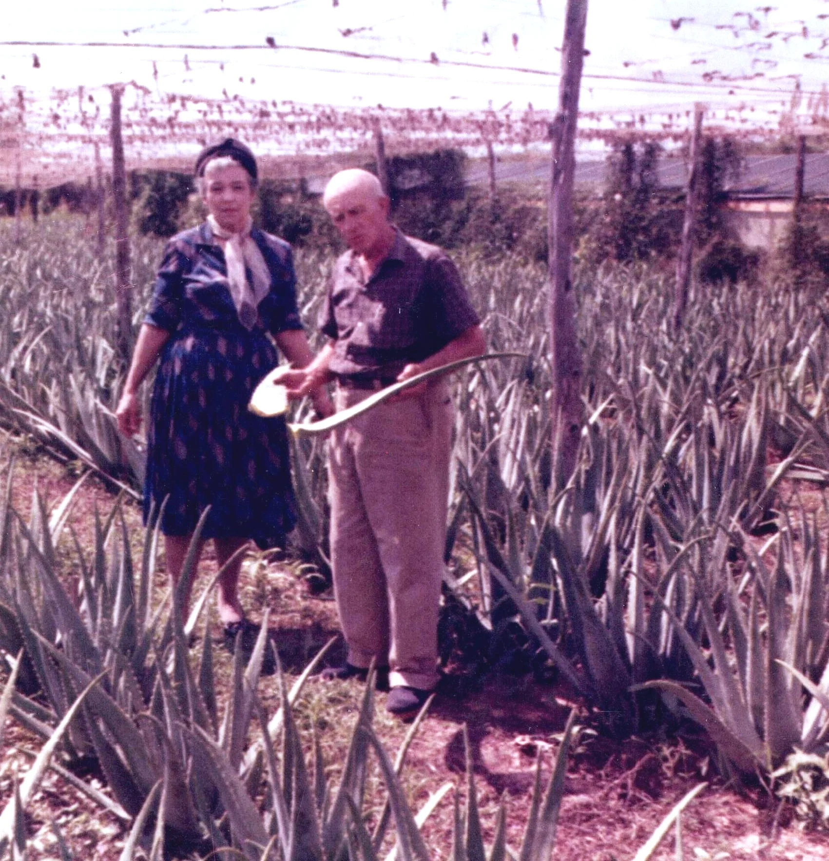 HG Founders Ewalds in 1965