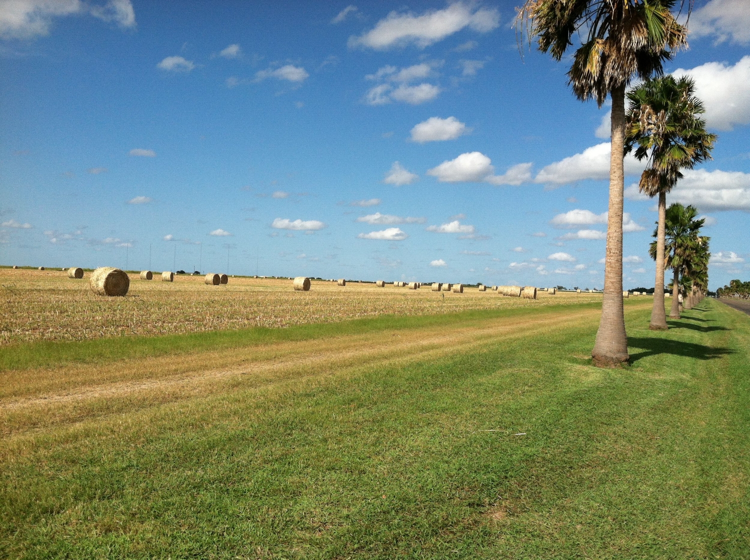 Hilltop Gardens Farmland