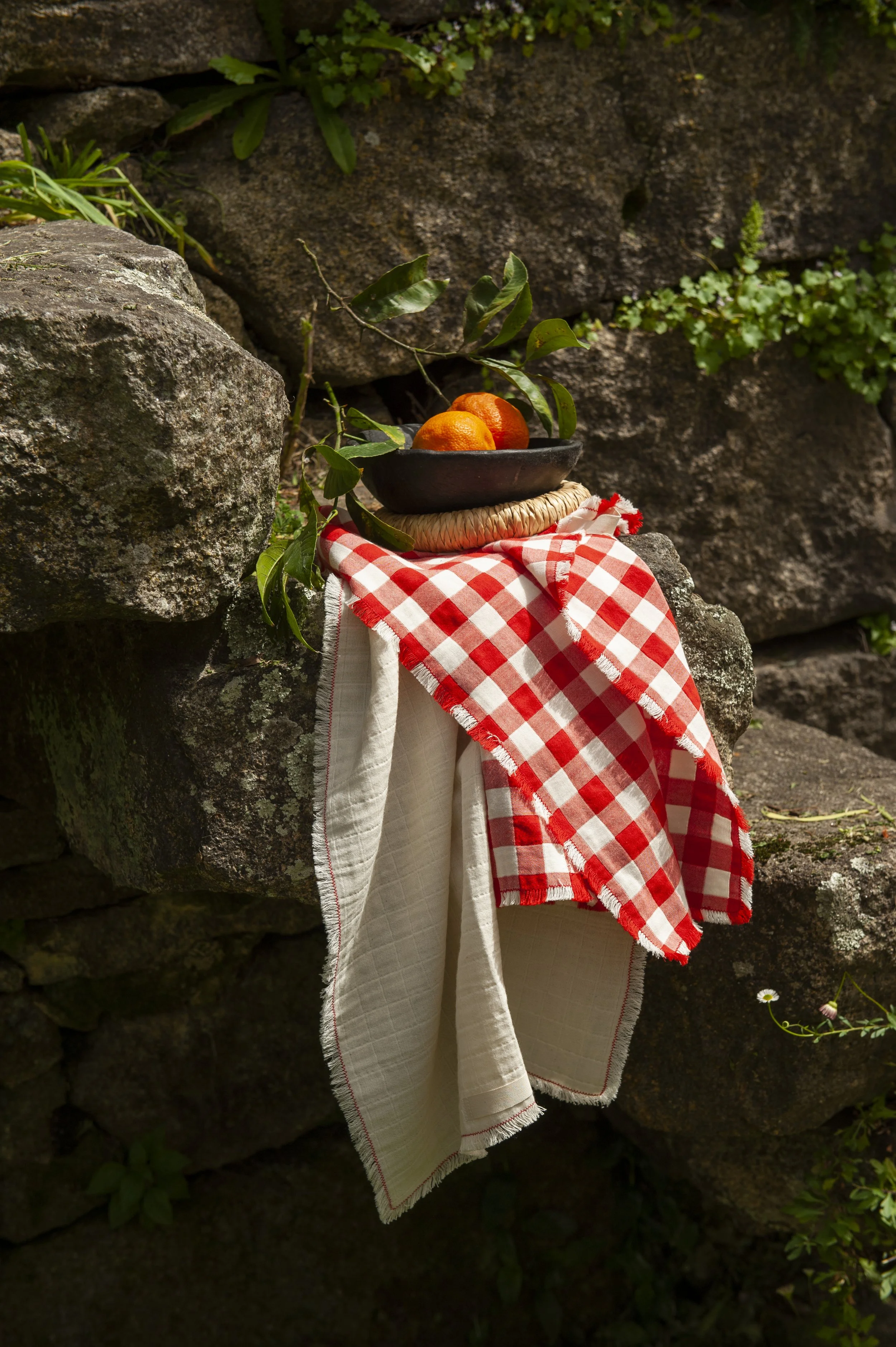Set of 2 Tea Towels Red Checks/Natural