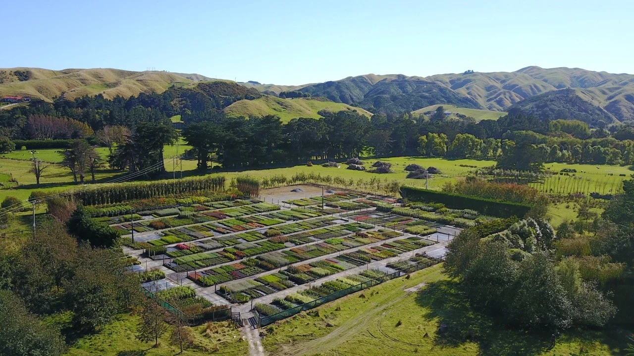 Leacroft Growing Area.jpg