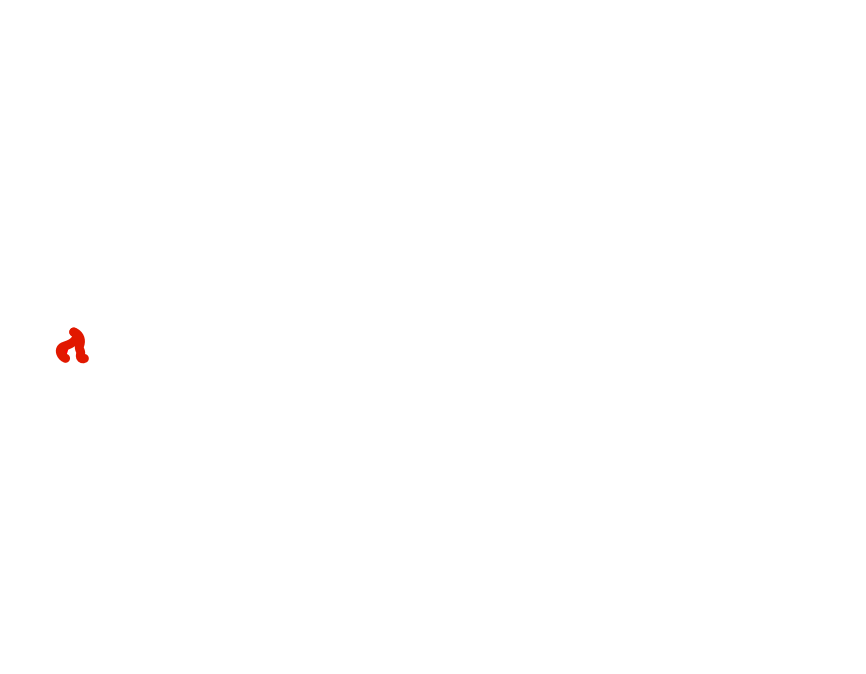 Lantern Square Designs