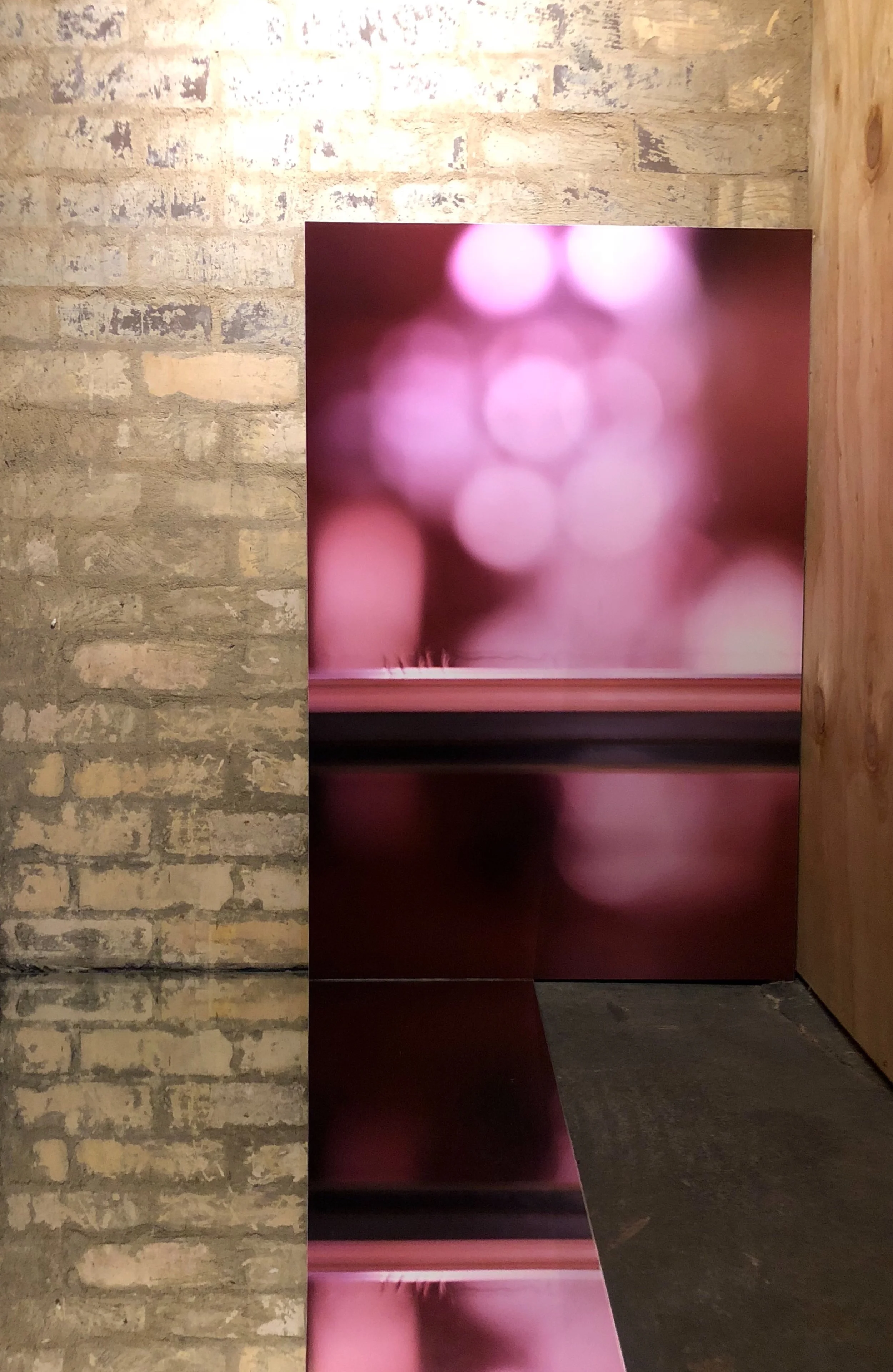   &nbsp; Looking forward, seeing through    FRAGMENTS installation view  2018  C-type print  73 x 110cm 