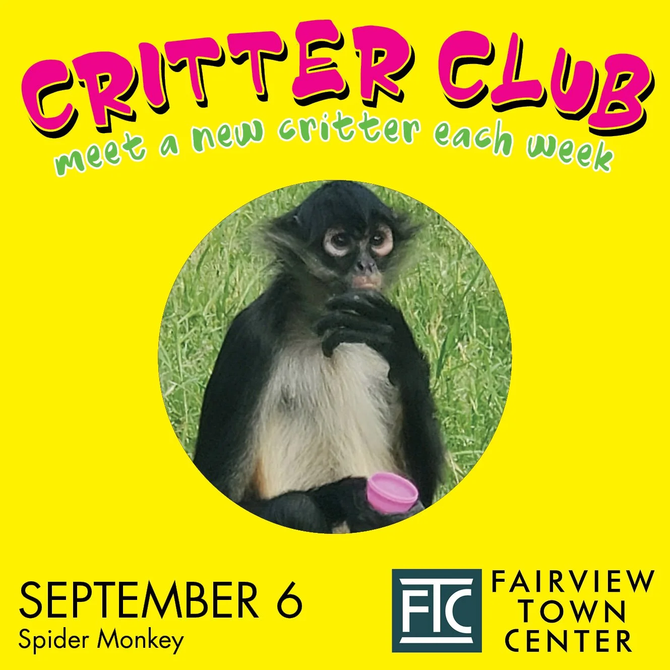 Critter Club