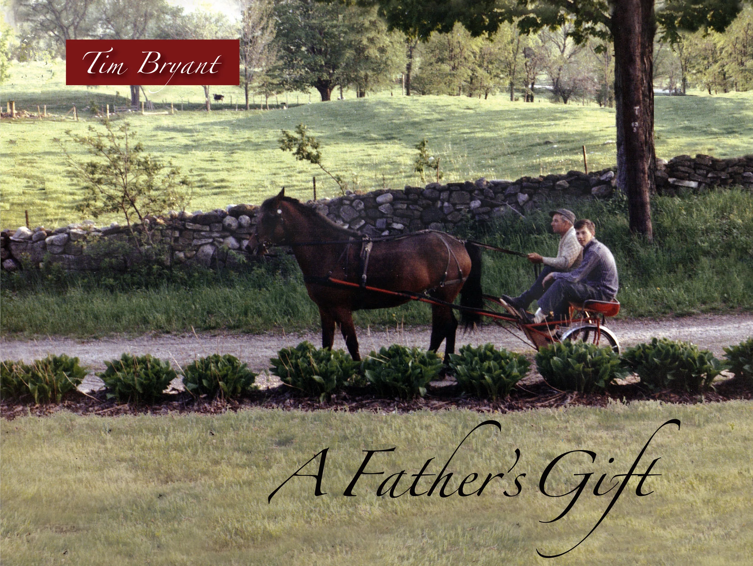 father's gift cvr frnt.jpg