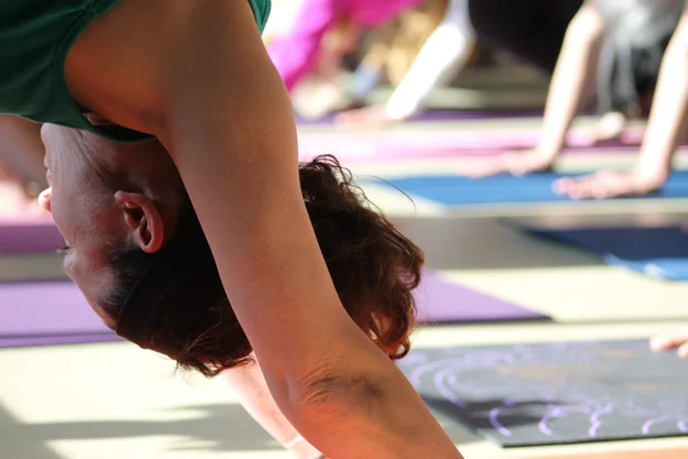 sm shoulder muscles.jpg