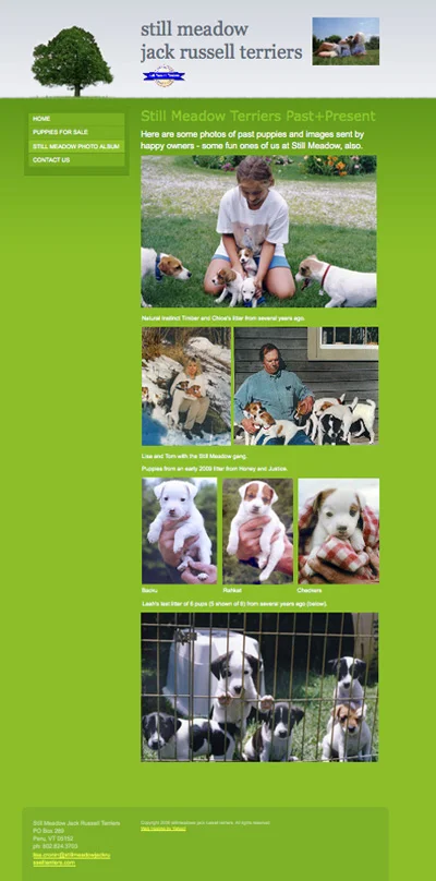 lo-res Still Meadow Photo:long.jpg