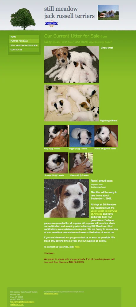 Still Meadow Puppies-Complete.jpg