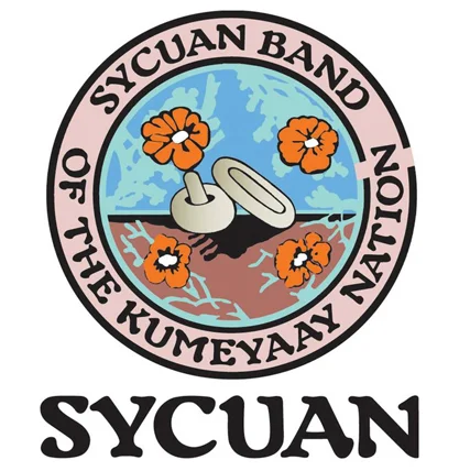 syc.jpg