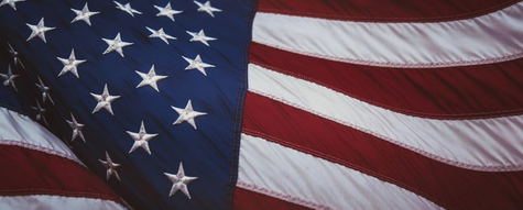 Veterans in Politics 