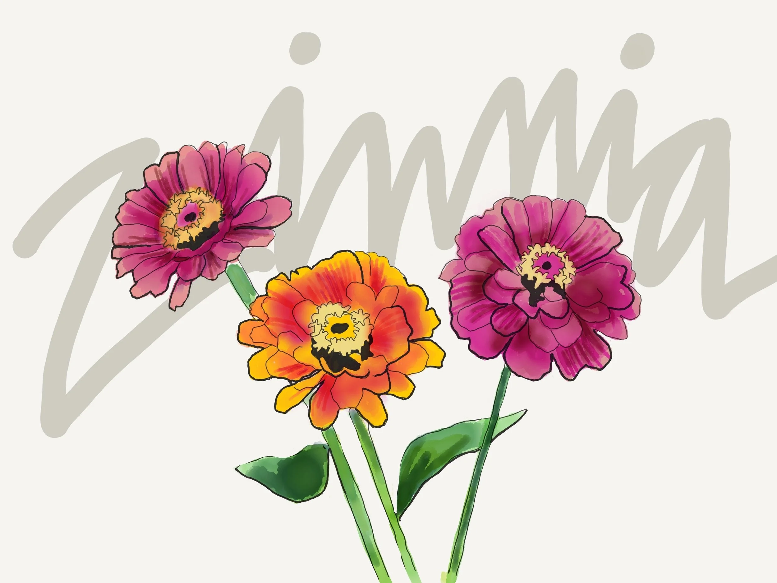 Zinnia.jpg