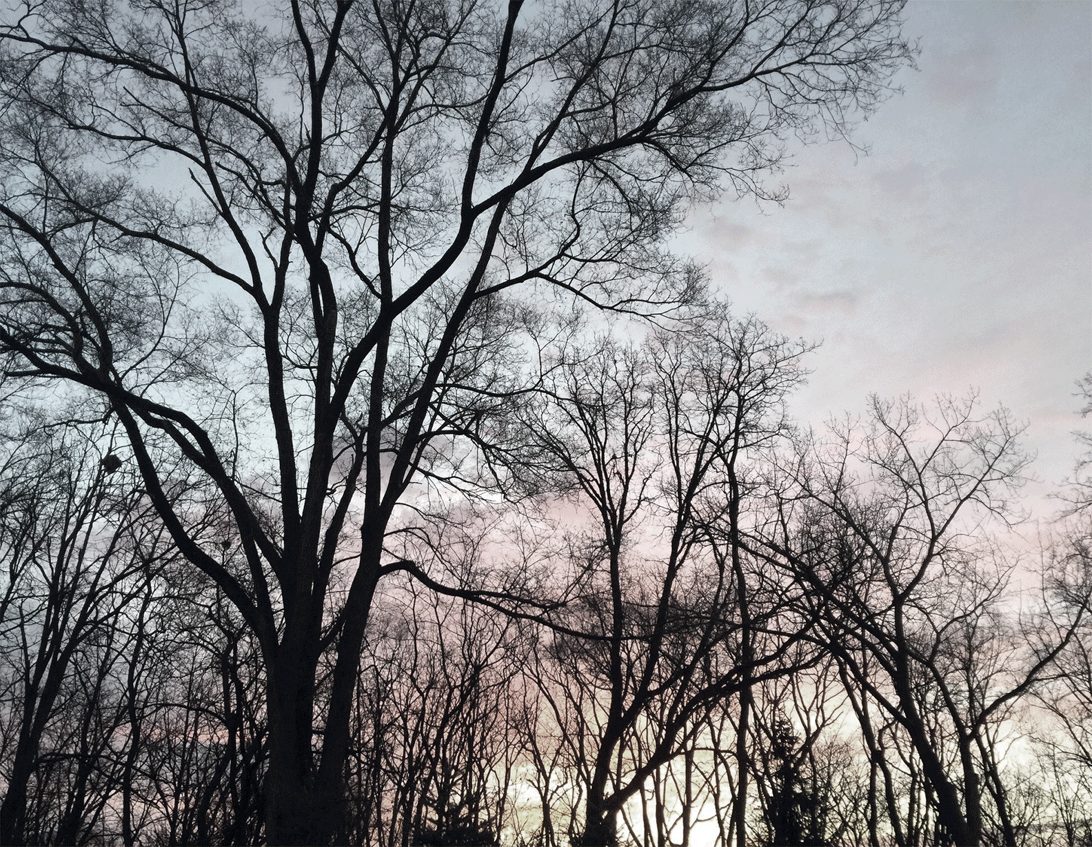 abstractGIF.gif