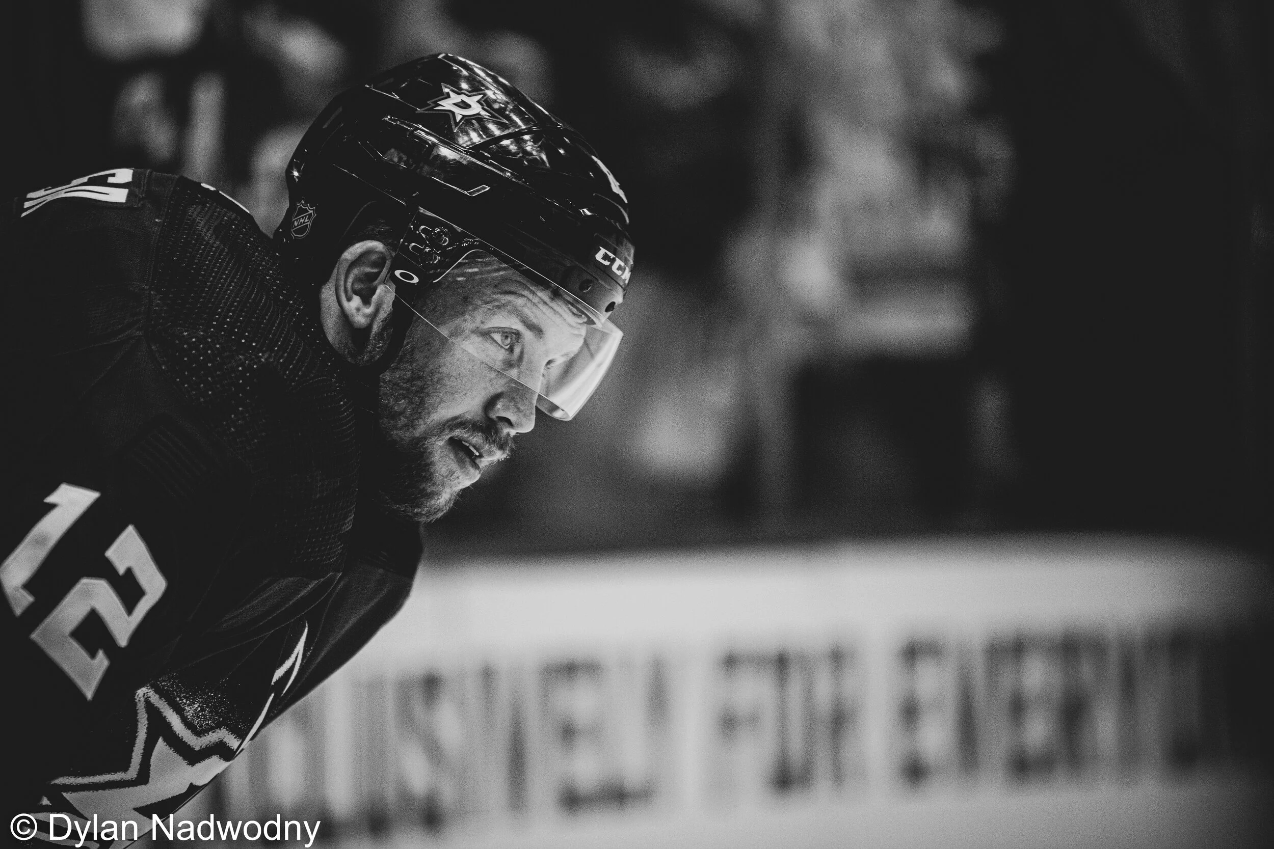 Radek Faksa-15 (2).jpg