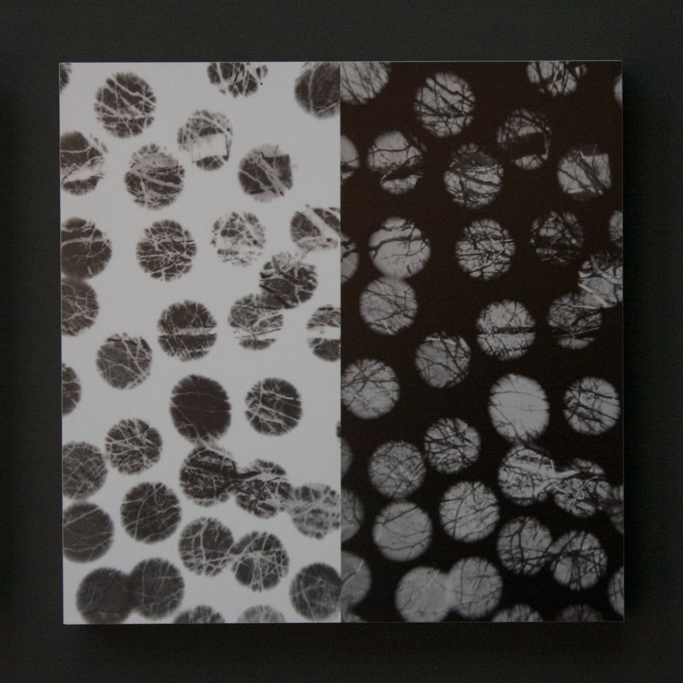 Lens Interferences: Multiple Apertures–03