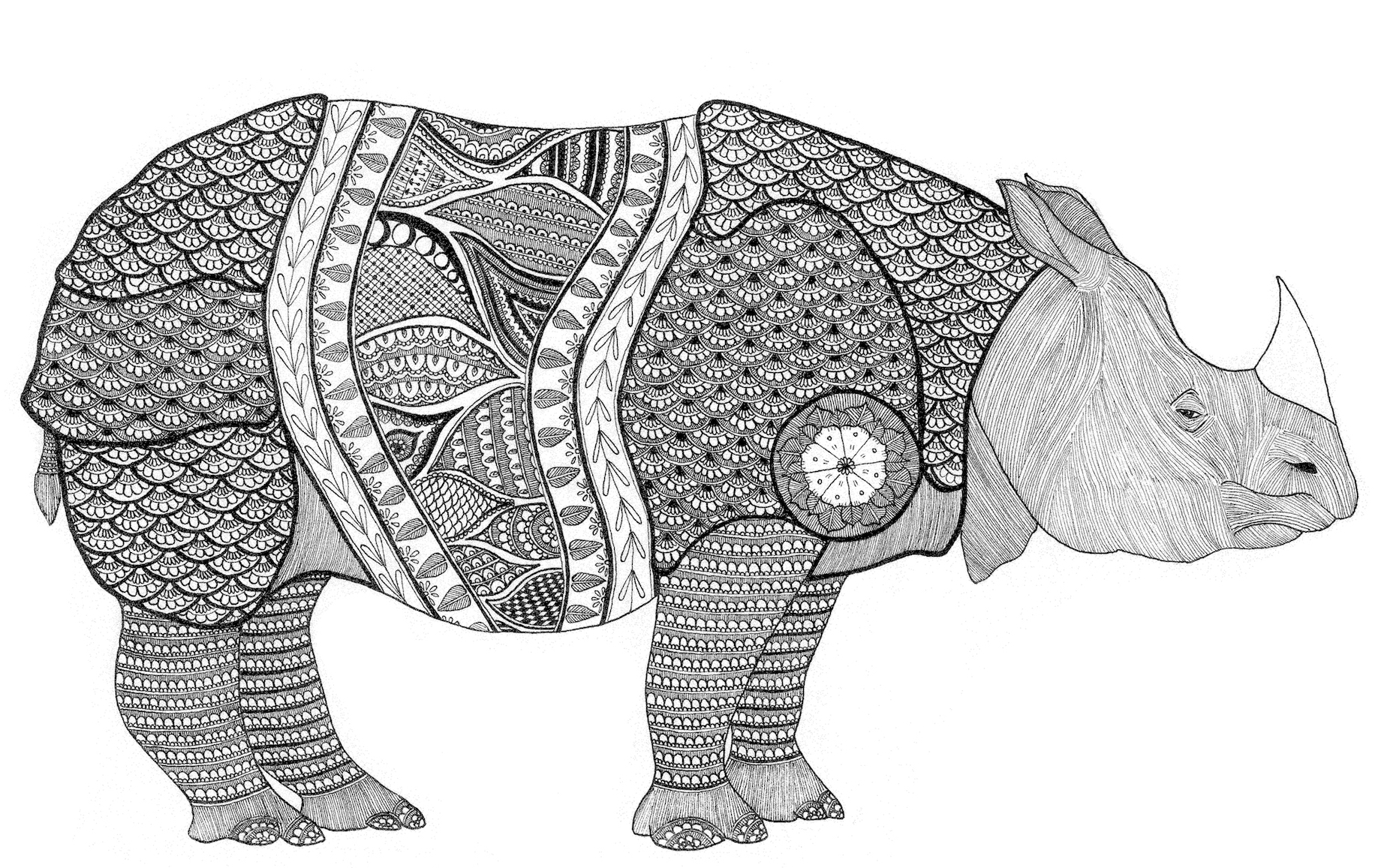 Fierce/Fragile [Nature]