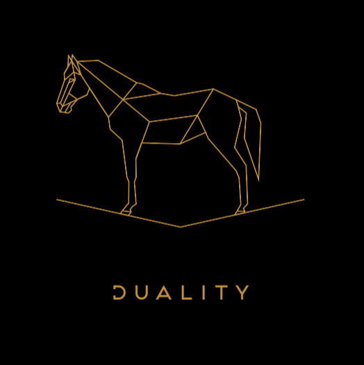 DUALITY by Brooke Walker