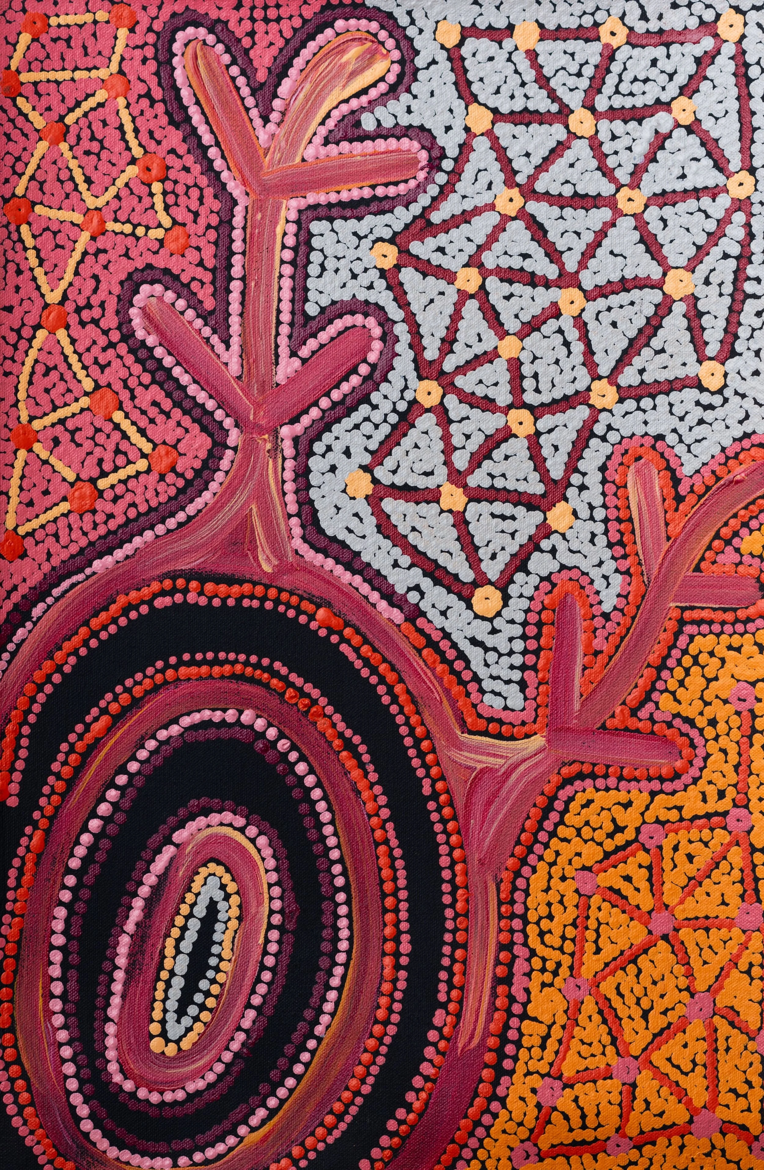 TARNANTHI 2019 Our Country: Many Languages 