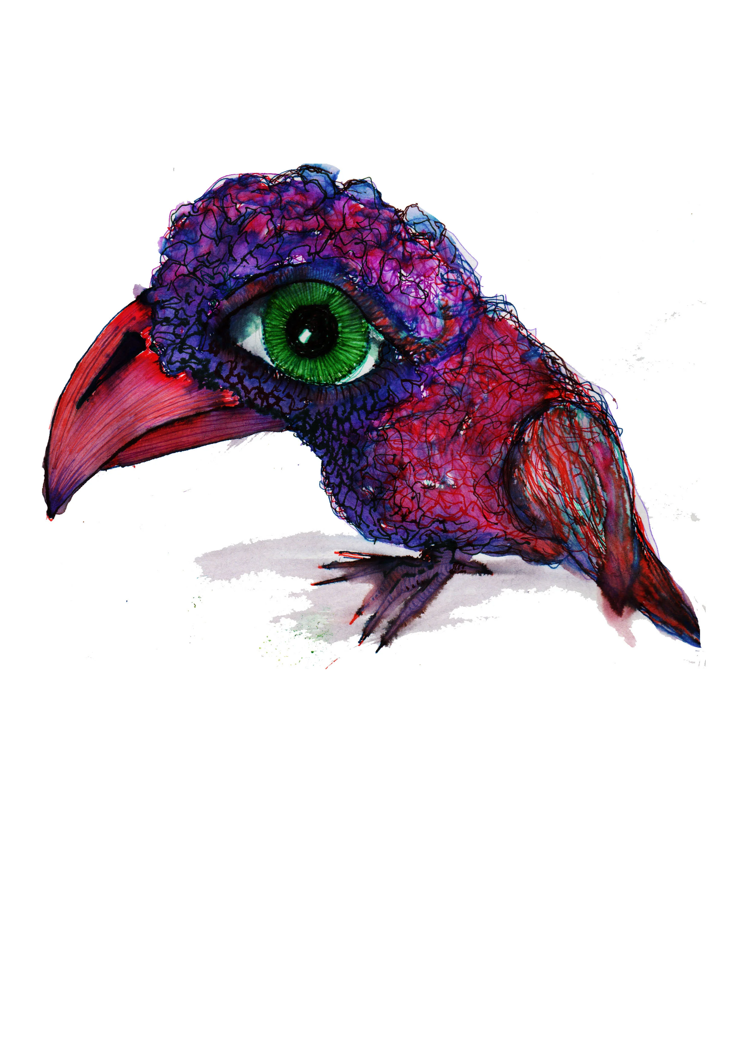 Collection of Works by Tony Jeffrey