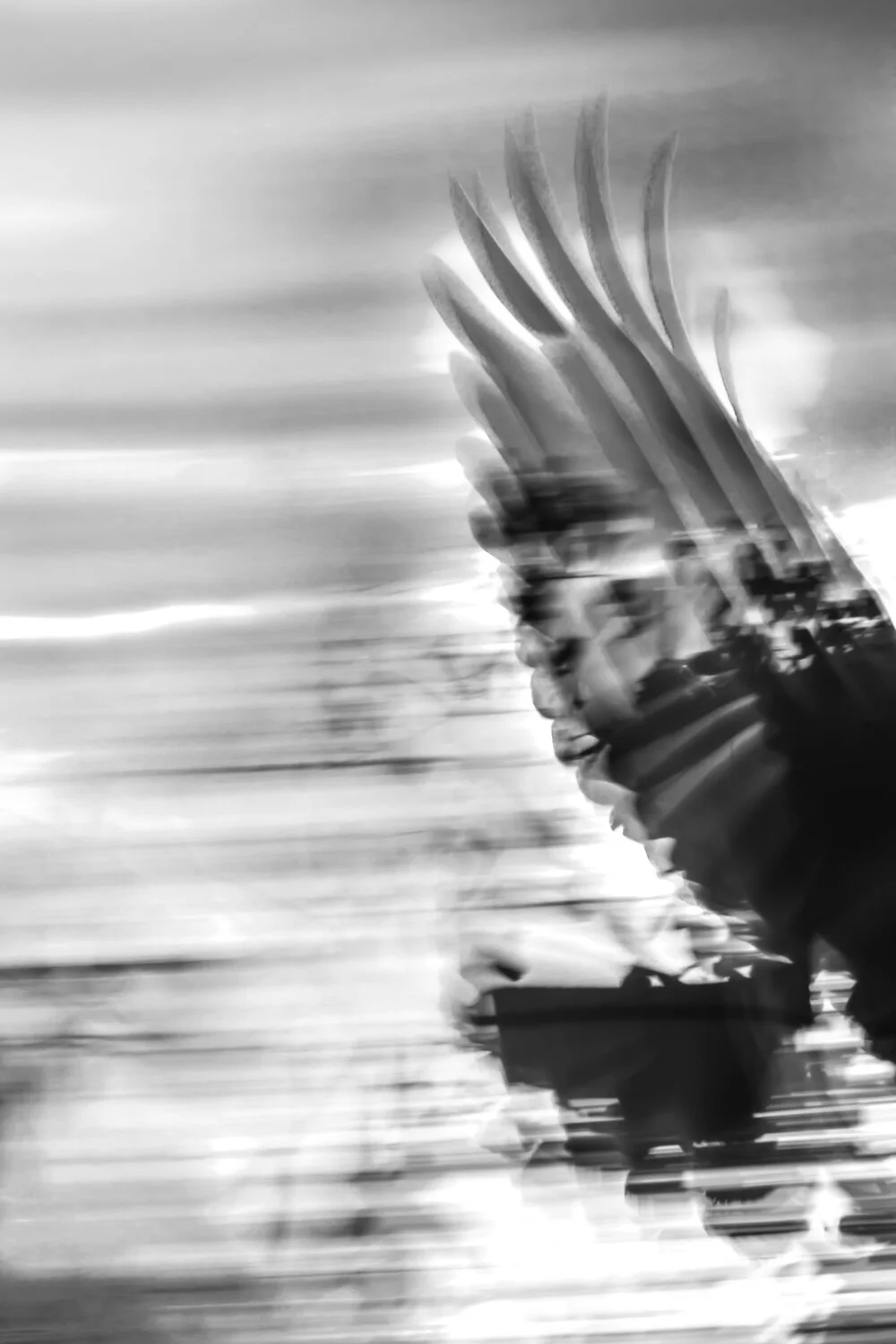 BAILE DEL CUERVO - DANCE OF THE RAVEN by David Xiberras