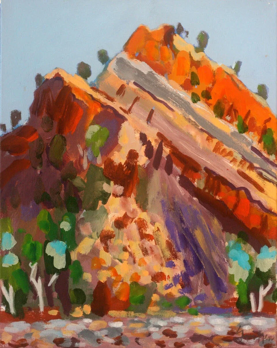 Artists of the Arkaroola Art Adventure