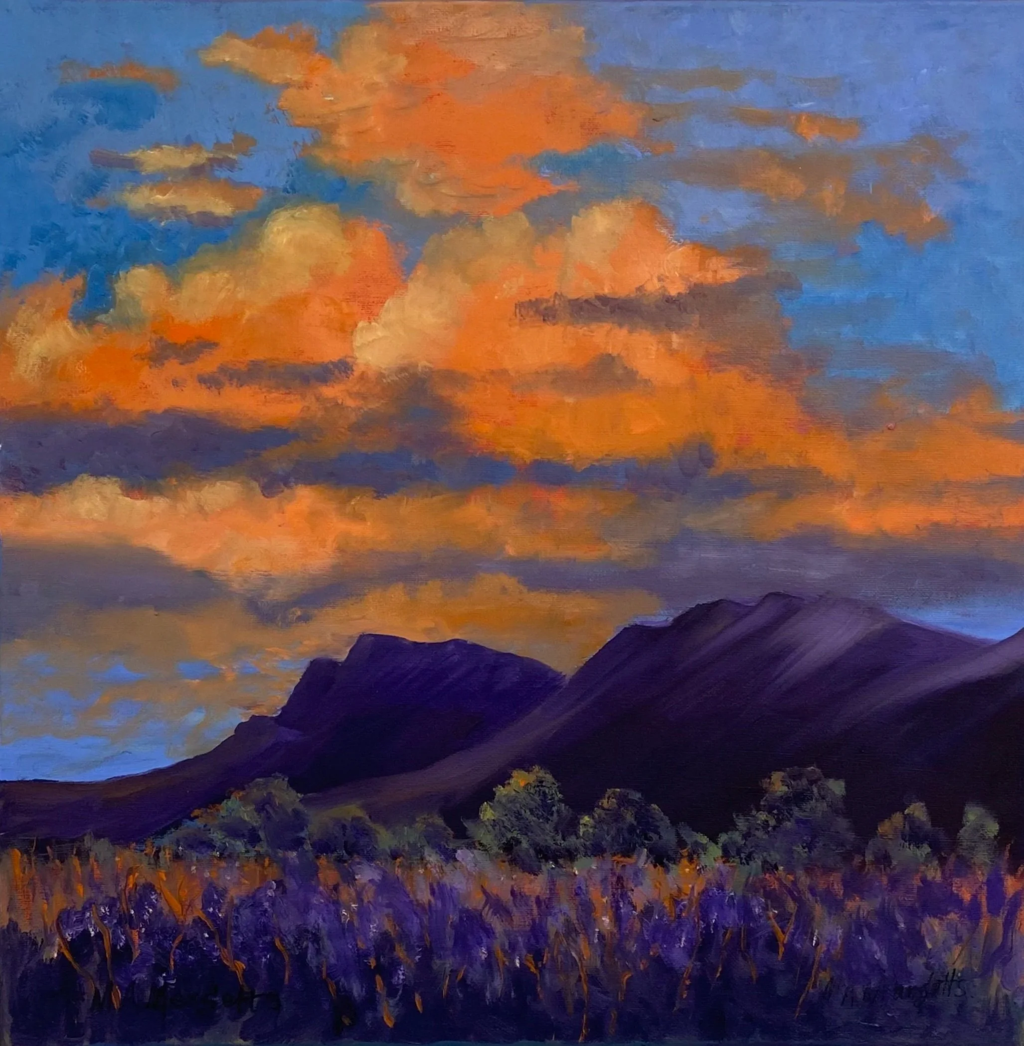  FLINDER'S SUNSET     Oil on canvas    45x45cm  Mary Margettes  $300