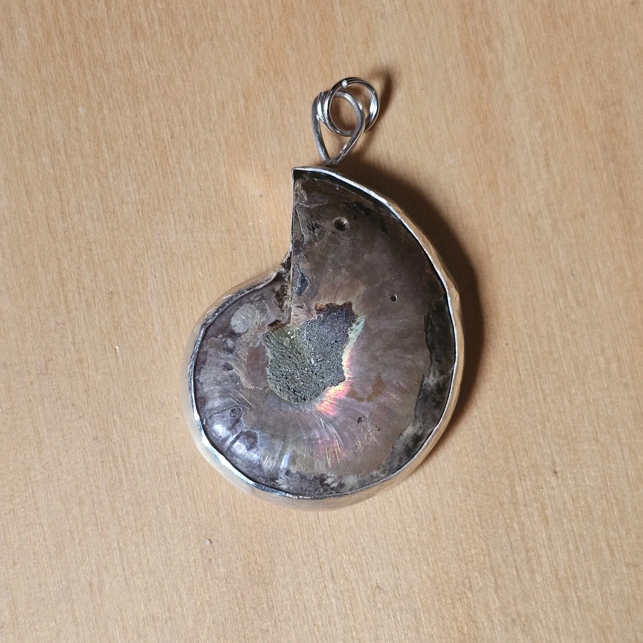Sterling silver and ammonite shell