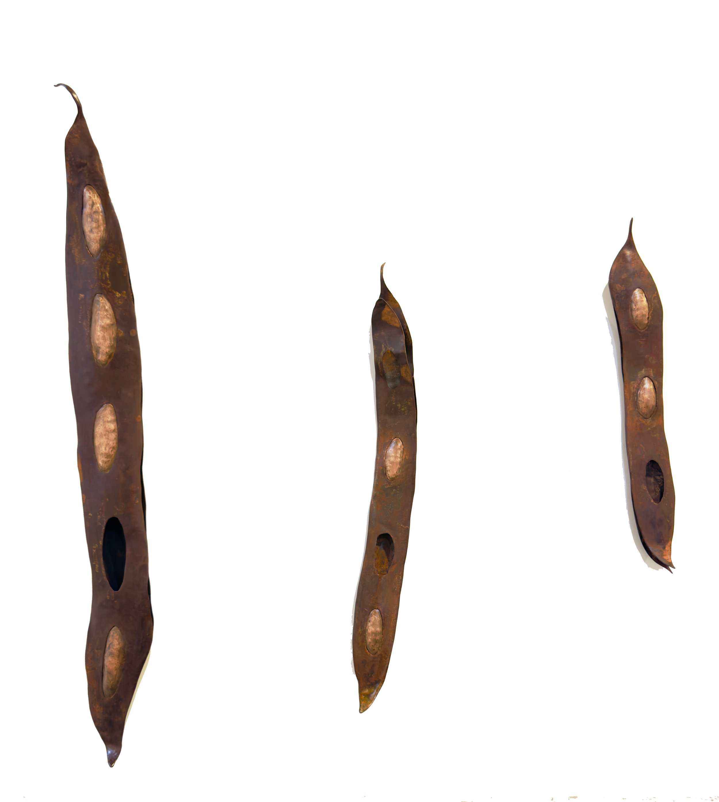 THE TREE SEEDS #1, 130 X 20cm $700 sold #2, 90 x10cm $550 #3 70 x 10cm $450 Mild steel and copper by Warren Pickering
