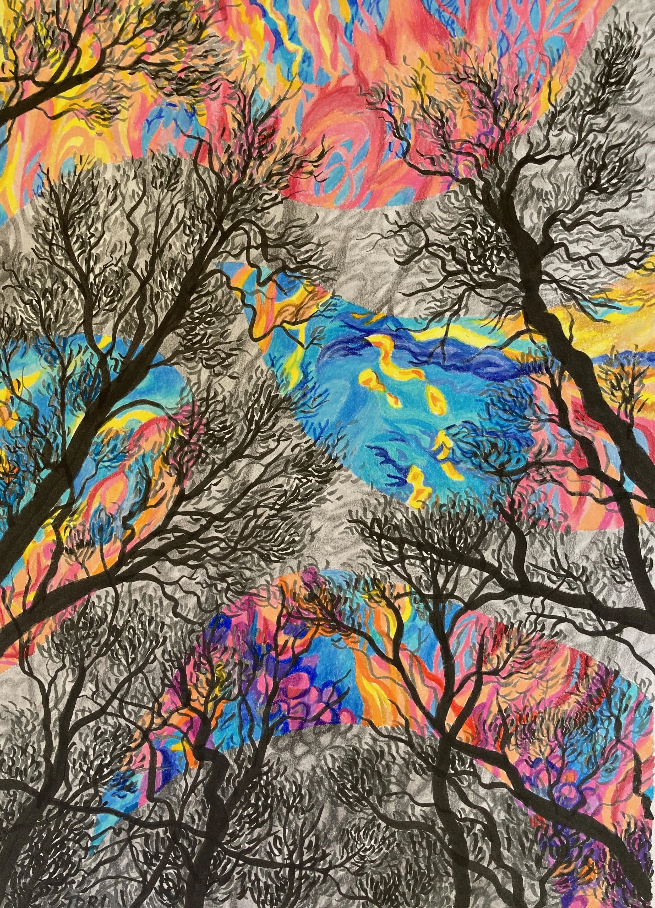 THE AURORA FOREST