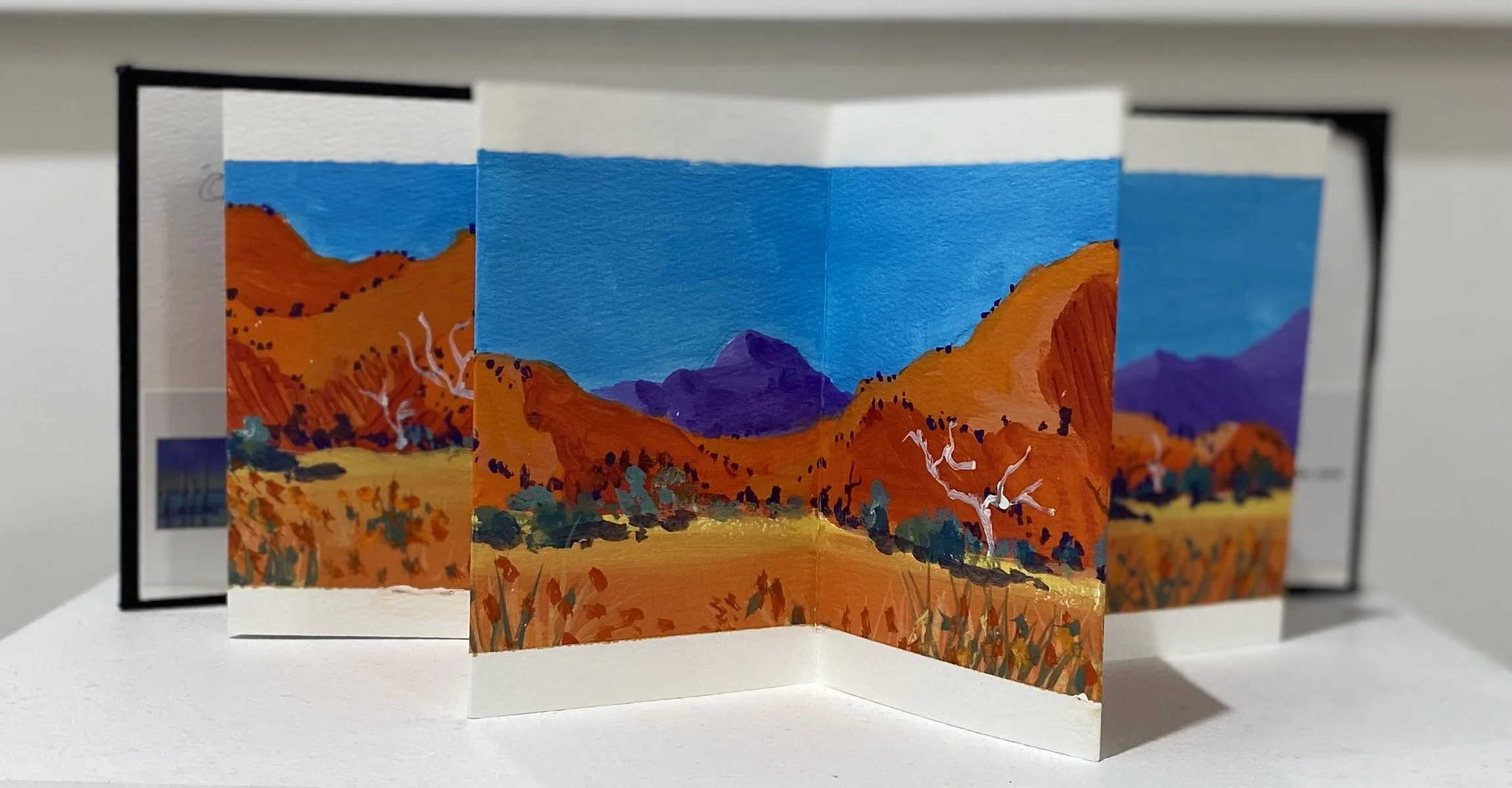  VIEW OF THE FLINDER'S RANGES NO.1     Acrylic on paper    Mary Margettes  $80