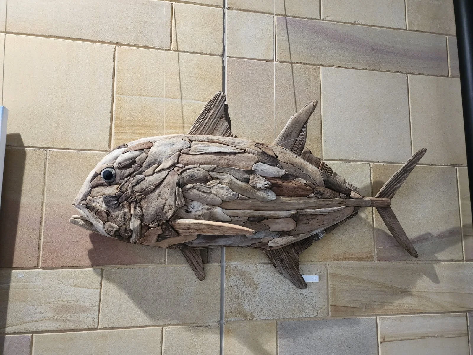 GIANT TREVALLY, Driftwood Sculpture, Alan Borg, $3,400