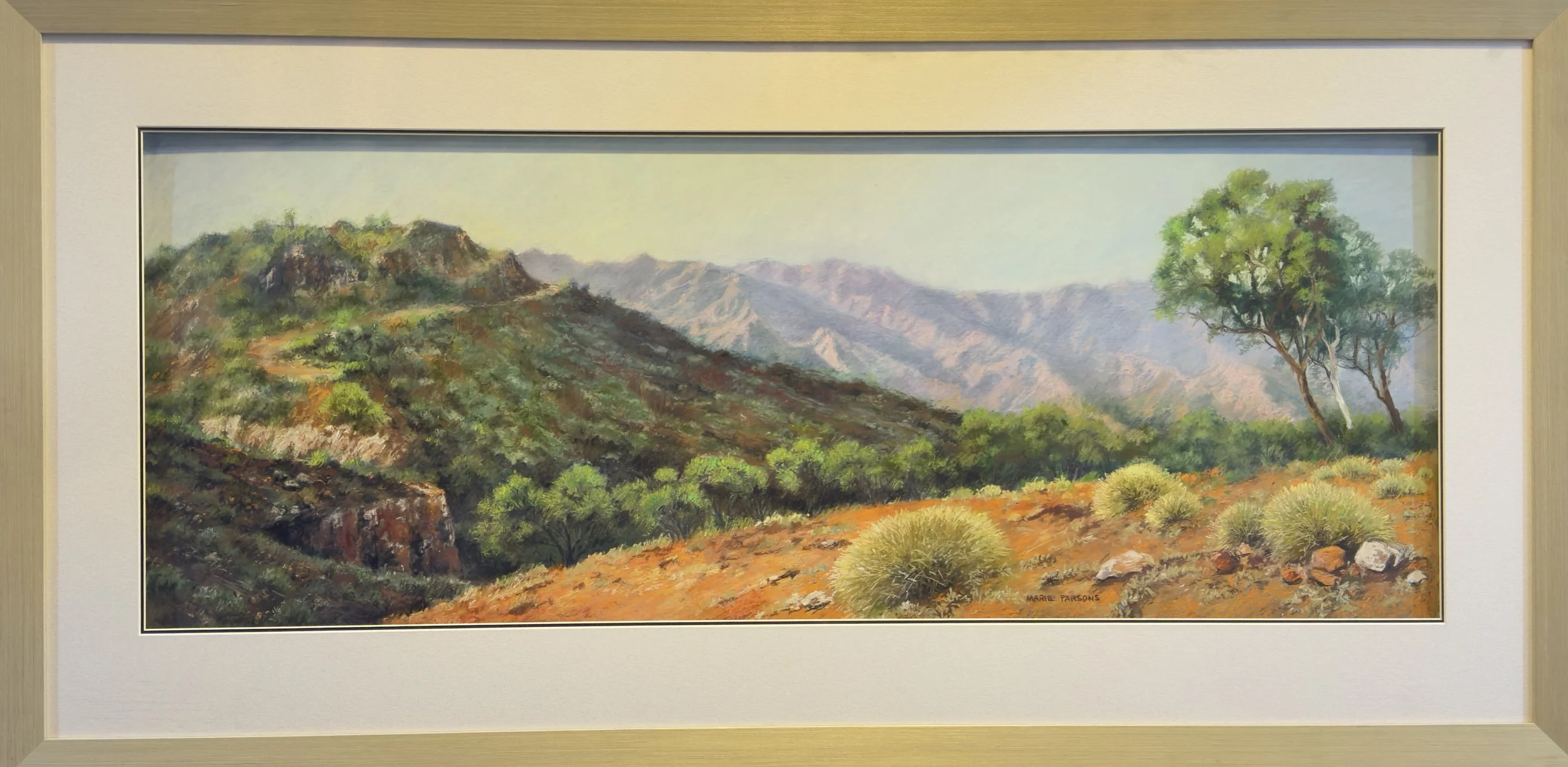 WEDNESDAY AT ARKAROOLA, Pastel, 45 x 115cm, Marie Parsons, $2,500