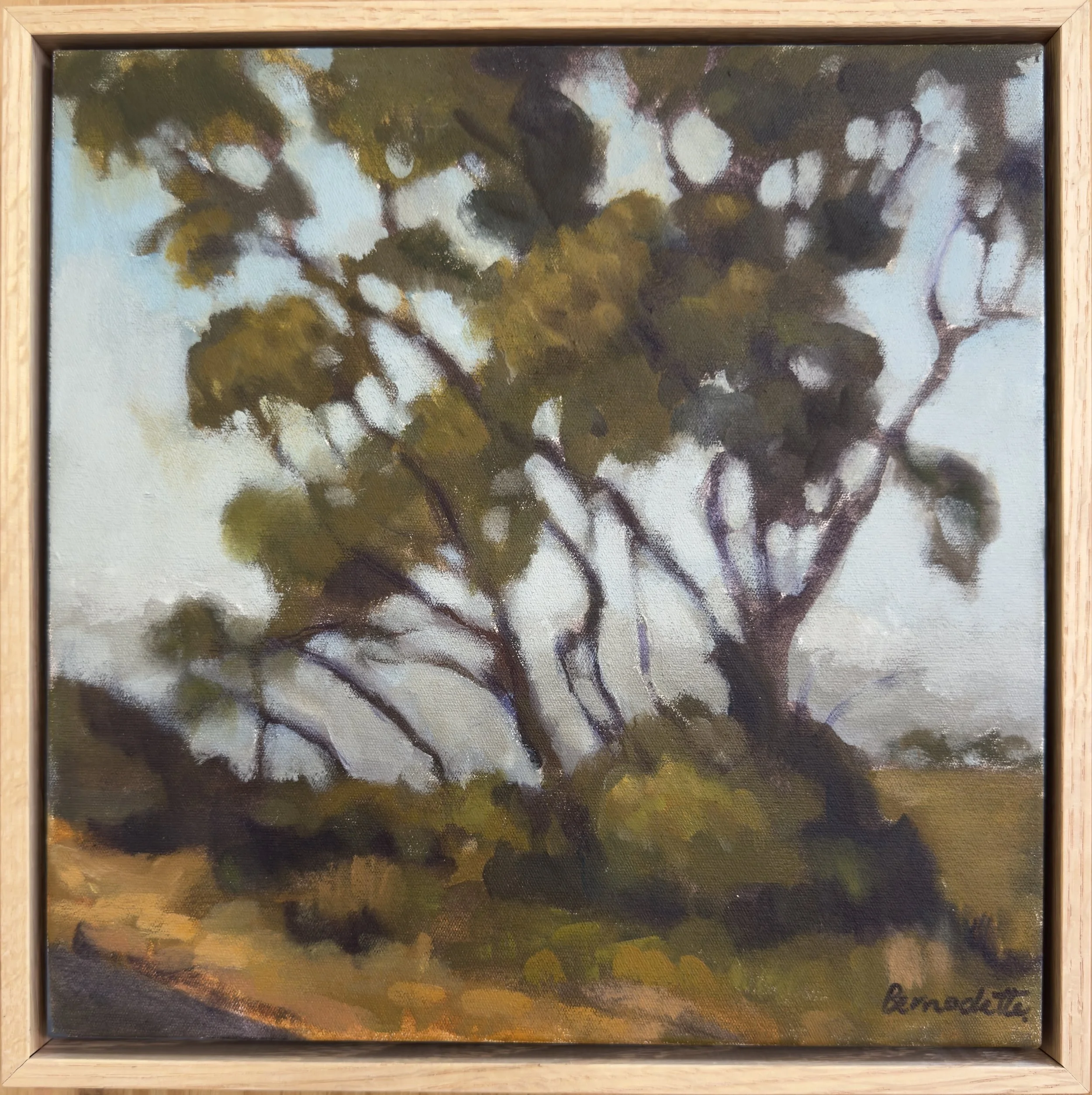 An oil painting of a few gum tree above a bush on the side of a road. The sky is light blue.